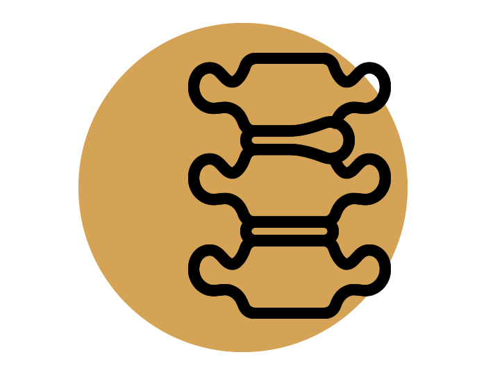 Condições Degenerativas e Dolorosas